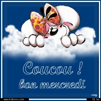 bon mercredi à tous !!